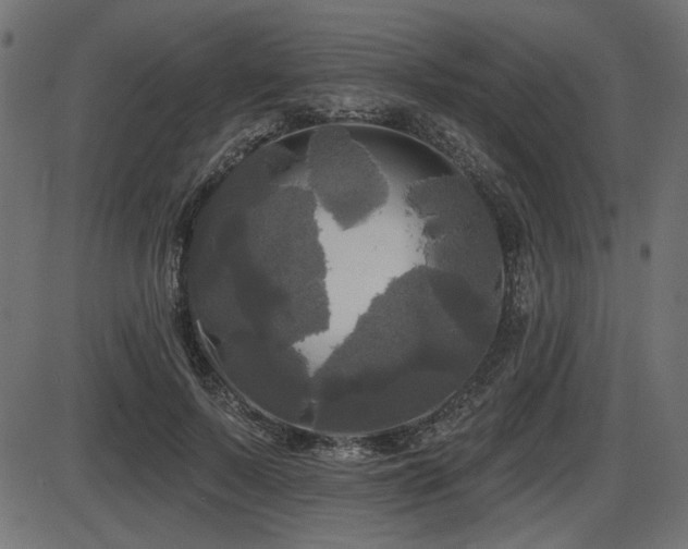 X0000087630695200705031446