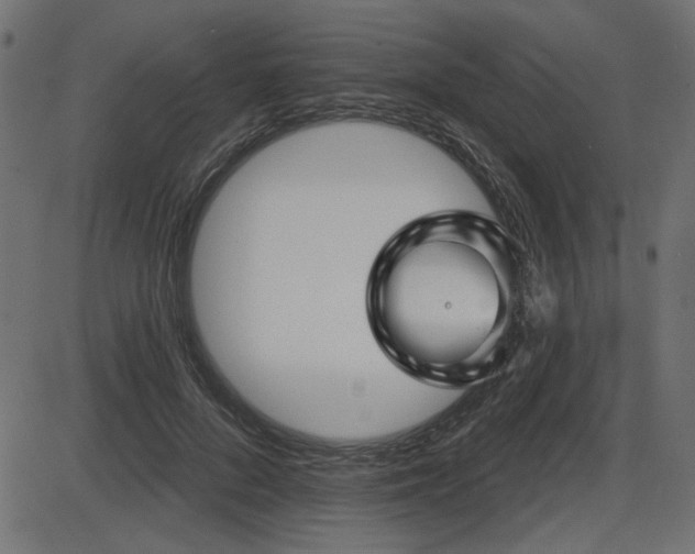 X0000087630696200705031446