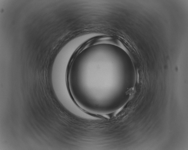 X0000087630697200705031446