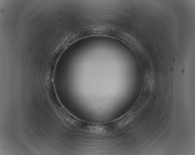 X0000087630698200705031446