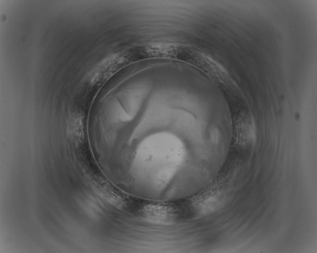 X0000087630699200705031446