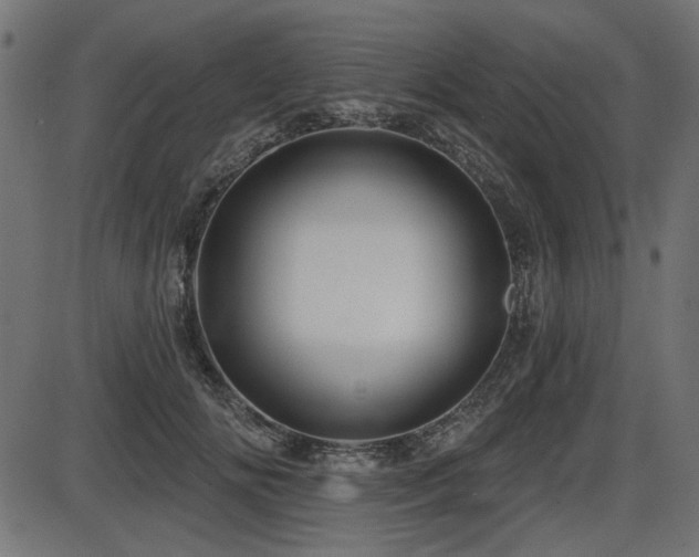 X0000087630702200705031446
