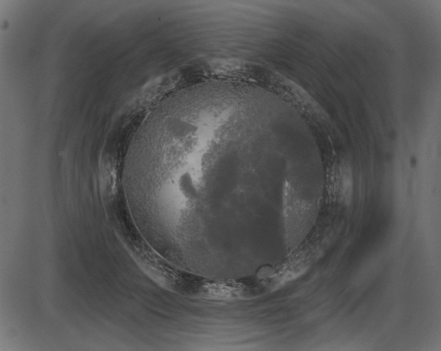 X0000087630703200705031445