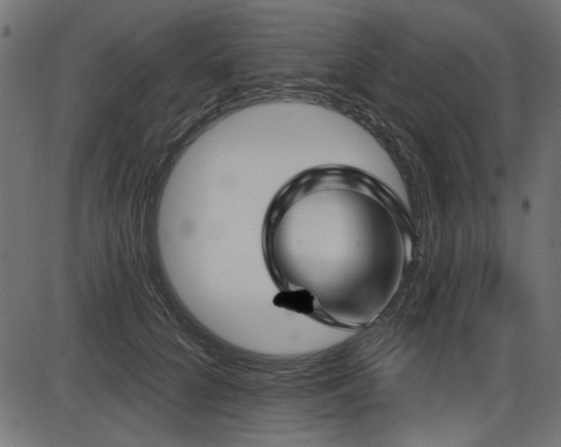 X0000087630704200705031445