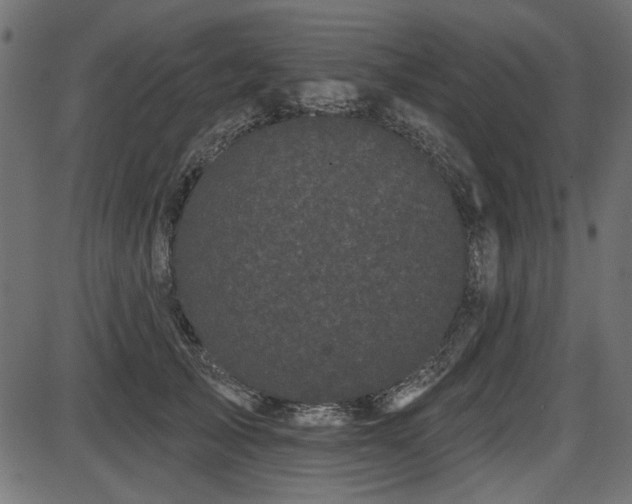 X0000087630705200705031445