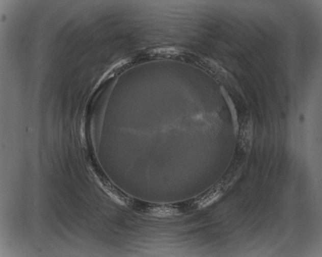 X0000087630708200705031445