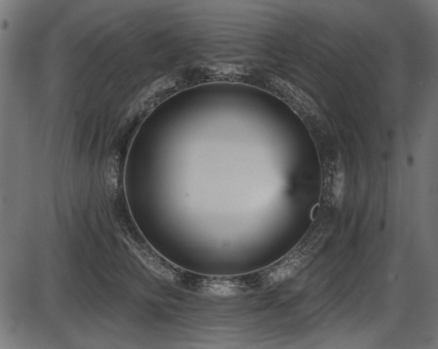 X0000087630710200705031445
