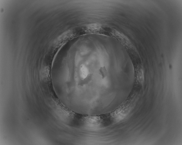 X0000087630711200705031445