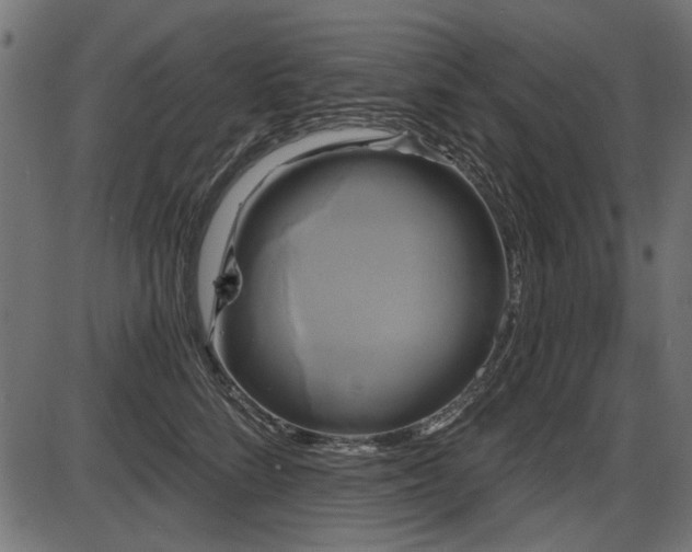 X0000087630712200705031445