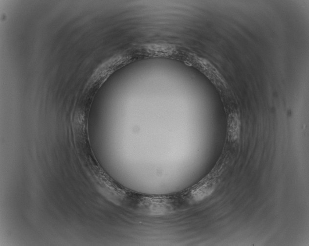 X0000087630713200705031445