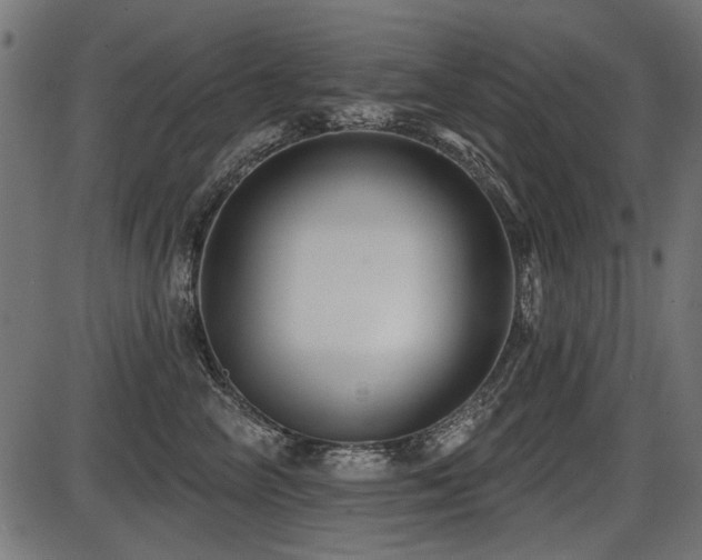 X0000087630714200705031445