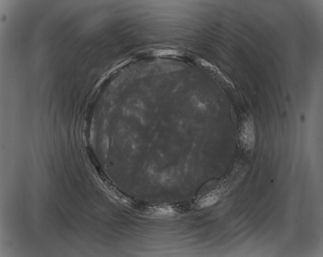 X0000087630715200705031445