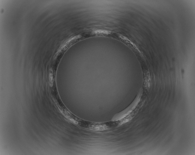 X0000087630716200705031445