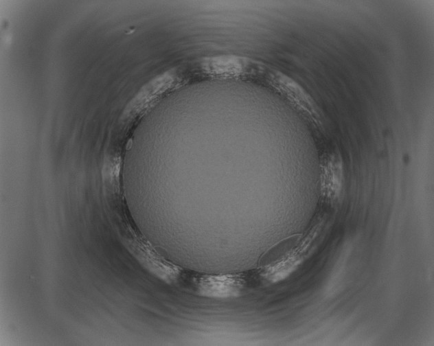 X0000087630717200705031445