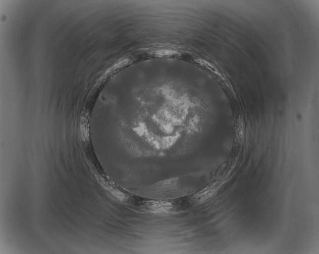 X0000087630719200705031445