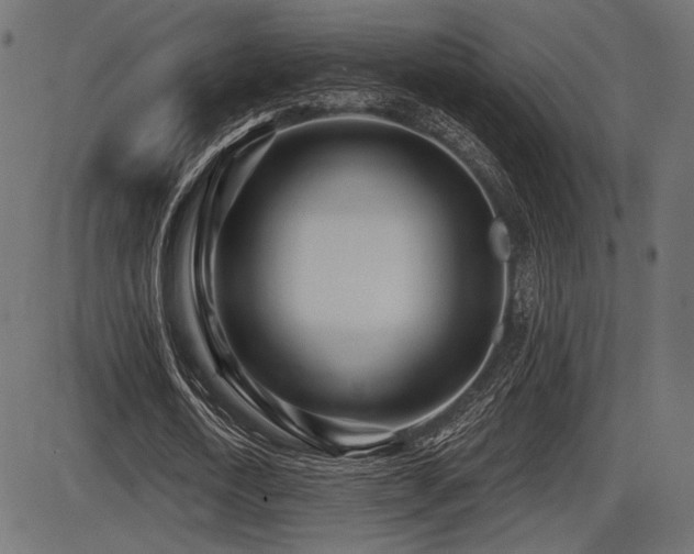 X0000087630722200705031444