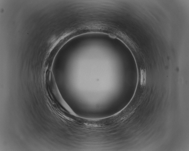 X0000087630723200705031444