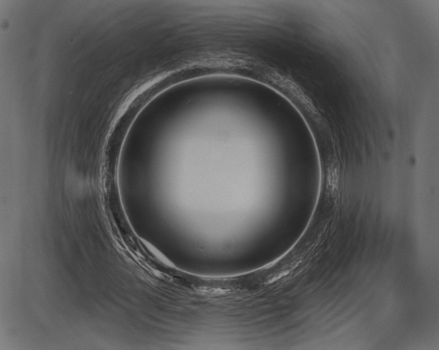 X0000087630724200705031444