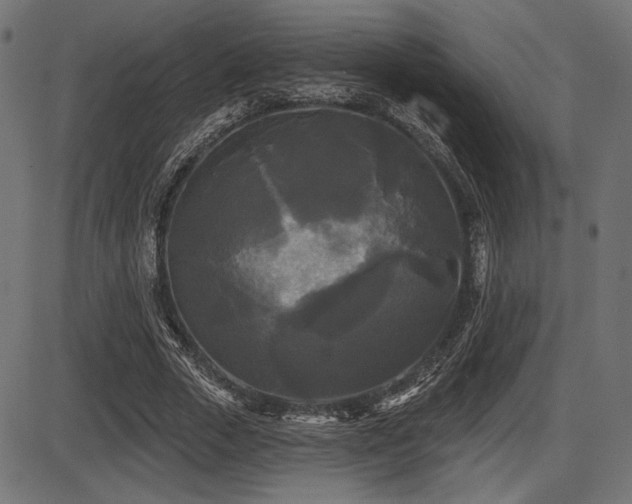 X0000087630729200705031445