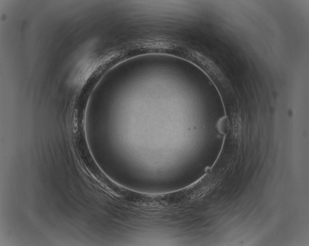 X0000087630731200705031445