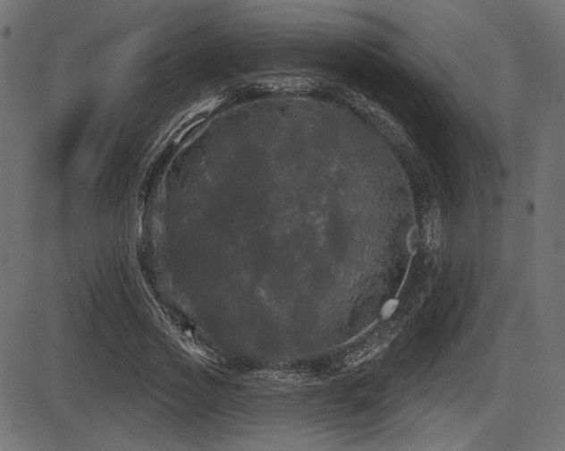 X0000087630733200705031445