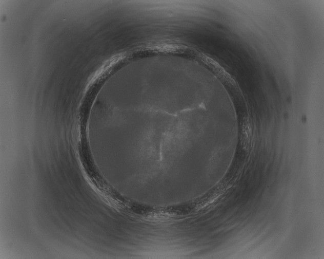 X0000087630734200705031445