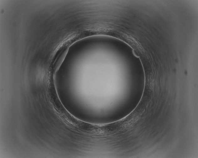 X0000087630735200705031445