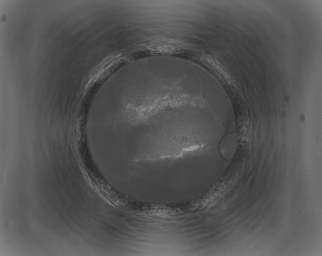 X0000087630738200705031445