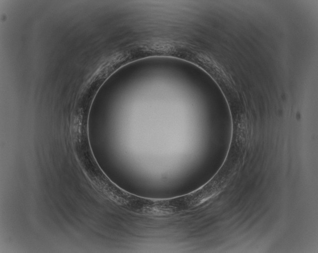 X0000087630739200705031445