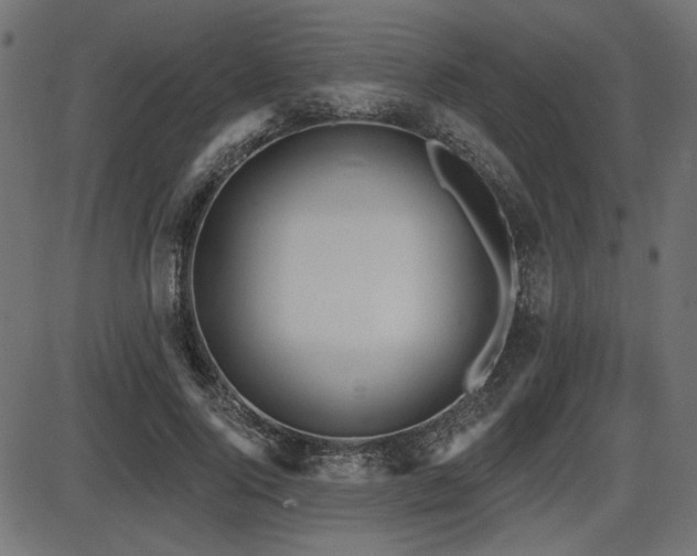 X0000087630740200705031445