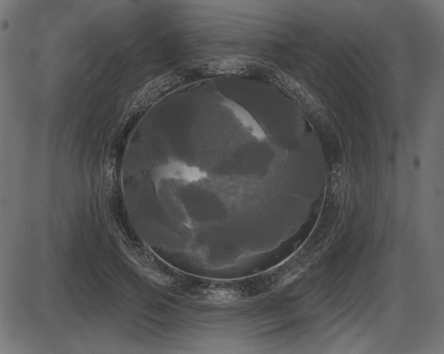 X0000087630741200705031445