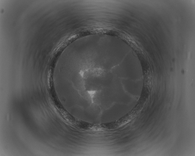X0000087630742200705031445