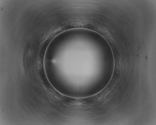 X0000087630743200705031445