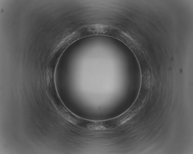 X0000087630747200705031445
