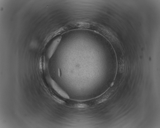 X0000087630748200705031445