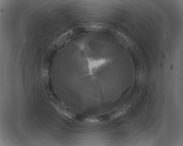 X0000087630749200705031445