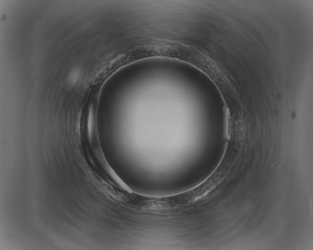 X0000087630750200705031445