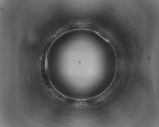 X0000087630752200705031445