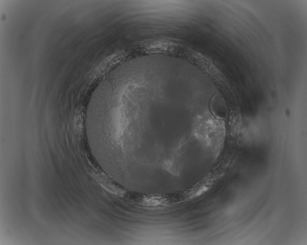 X0000087630753200705031445