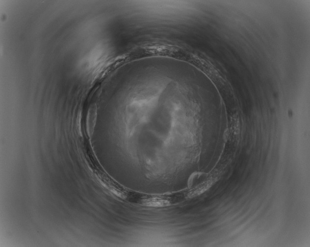 X0000087630754200705031445