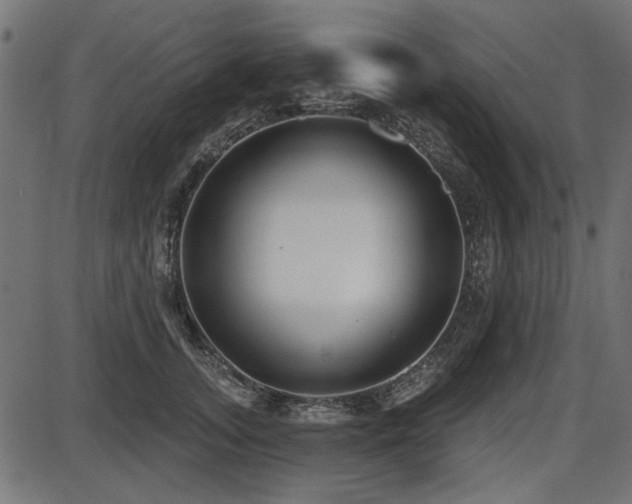X0000087630755200705031445