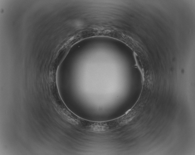 X0000087630756200705031445
