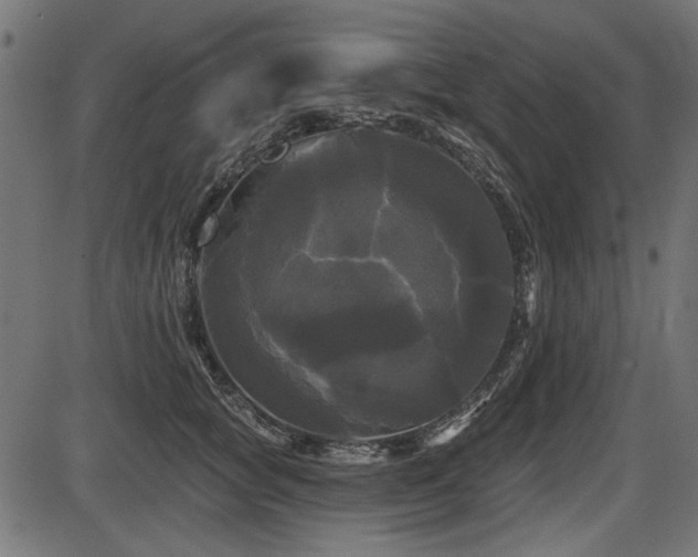 X0000087630757200705031445