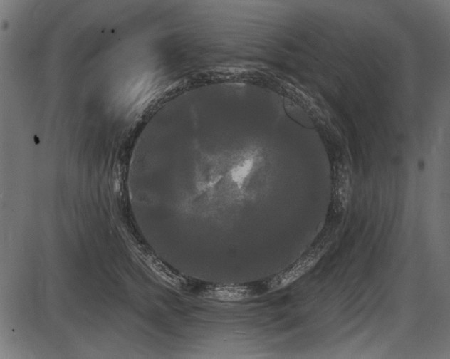 X0000087630758200705031445