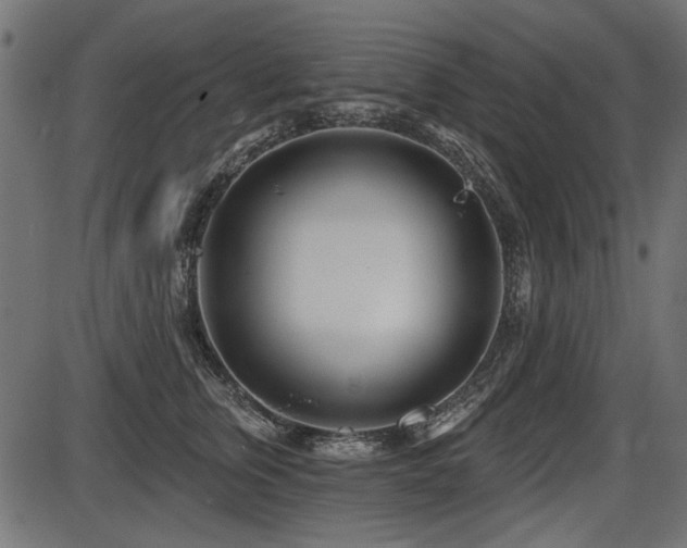 X0000087630759200705031445