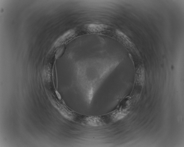 X0000087630762200705031445