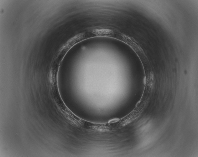 X0000087630763200705031445
