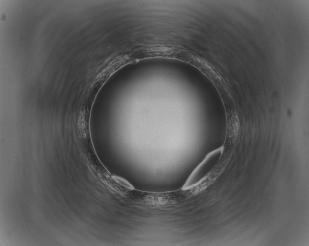 X0000087630764200705031445