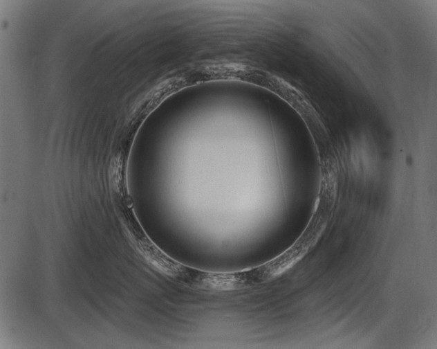 X0000087630767200705031445