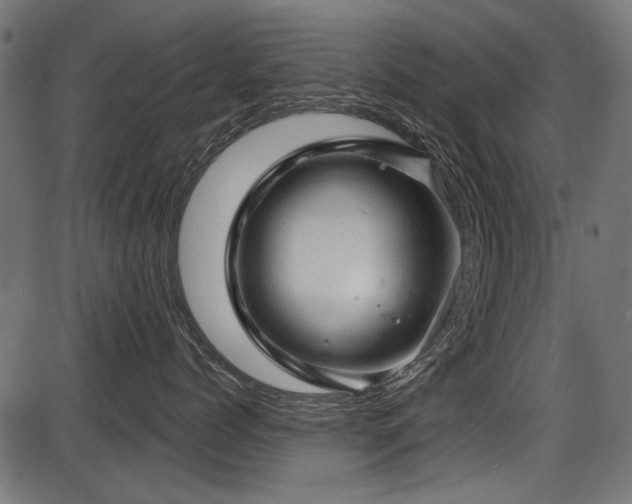 X0000087630768200705031445